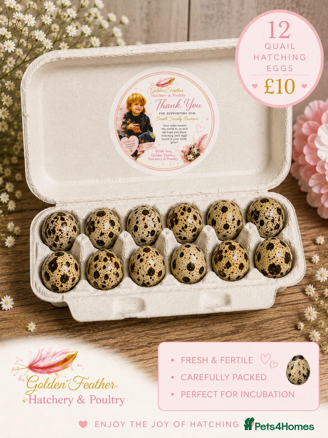Quail poultry for sale: Quail hatching eggs  - Advert 1