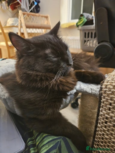 Gallery Image {{count}}