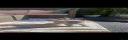 British Shorthair cats for sale: British short hair kittens for sale - Advert 24