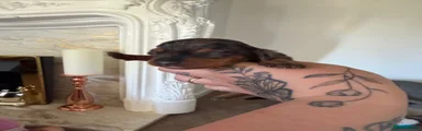 Dachshund Puppy 4