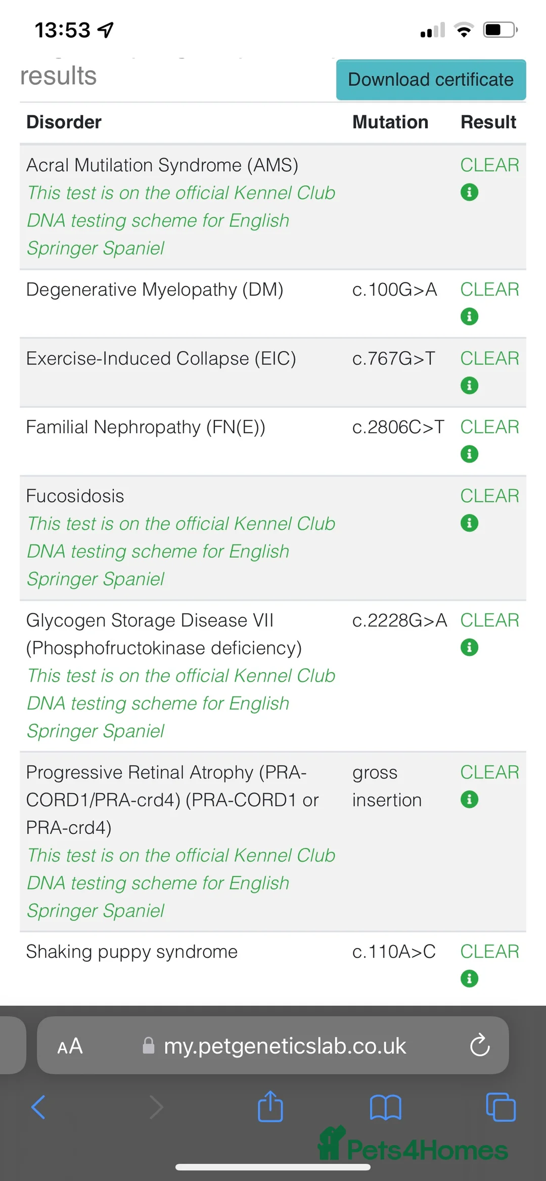 English Springer Spaniel dogs for stud: FTAW Springer Spaniel Stud in Gainsborough - Advert 8