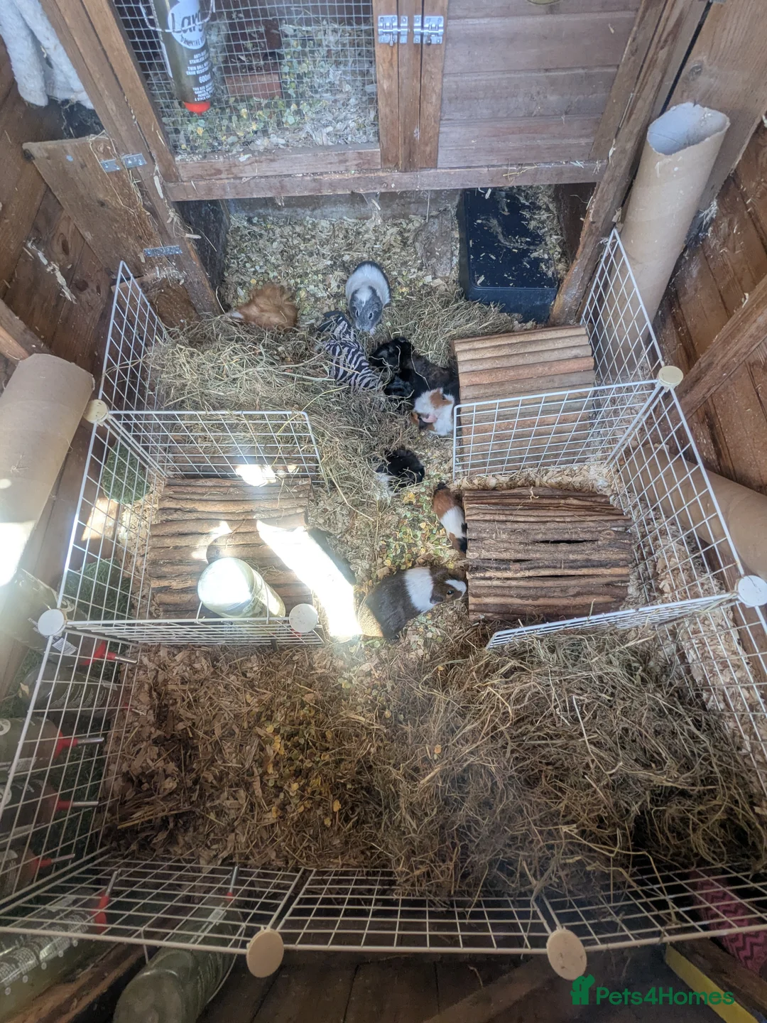 Gallery Image {{count}}