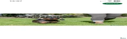 Dachshund dogs for sale: Dachshund KC wire haired puppies  - Advert 3