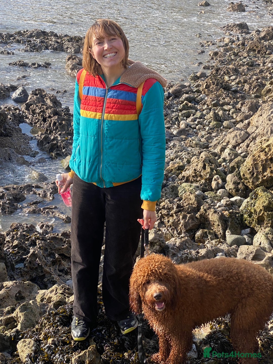 Gallery Image {{count}}