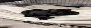 3. 