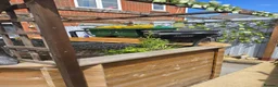 Koi Carp fish for sale: 10 by 10 pond plus set up  - Advert 2