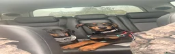 Dobermann dogs for sale: 9 month female Doberman  in Solihull - Advert 4