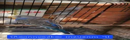 Budgerigars birds for sale: 4x budgie chicks £40 each ready now - Advert 15