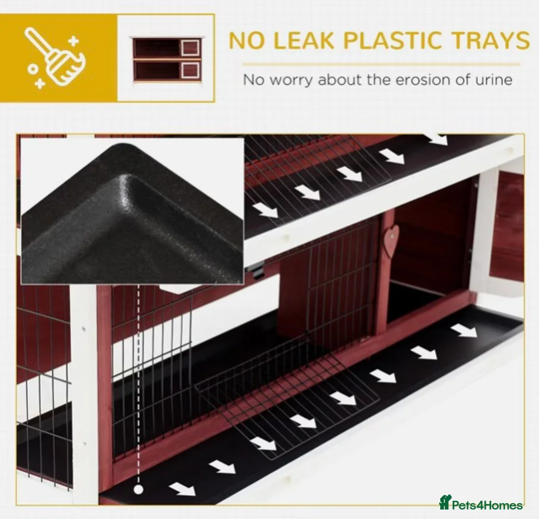 Quail poultry for sale: QUAIL HUTCH ! - Advert 6