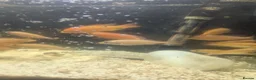 Cichlids fish for sale: African Cichlids Young for sale  in Liverpool - Advert 5