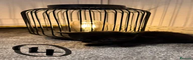 Kitten 4