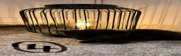 British Shorthair cats for sale: 4 black & white kittens. British short hair mother - Advert 10
