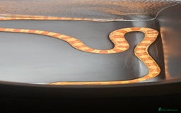 Corn Snake reptiles for sale: Baby cornsnakes for sale - Image 5