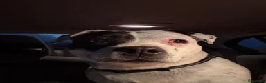 Narla