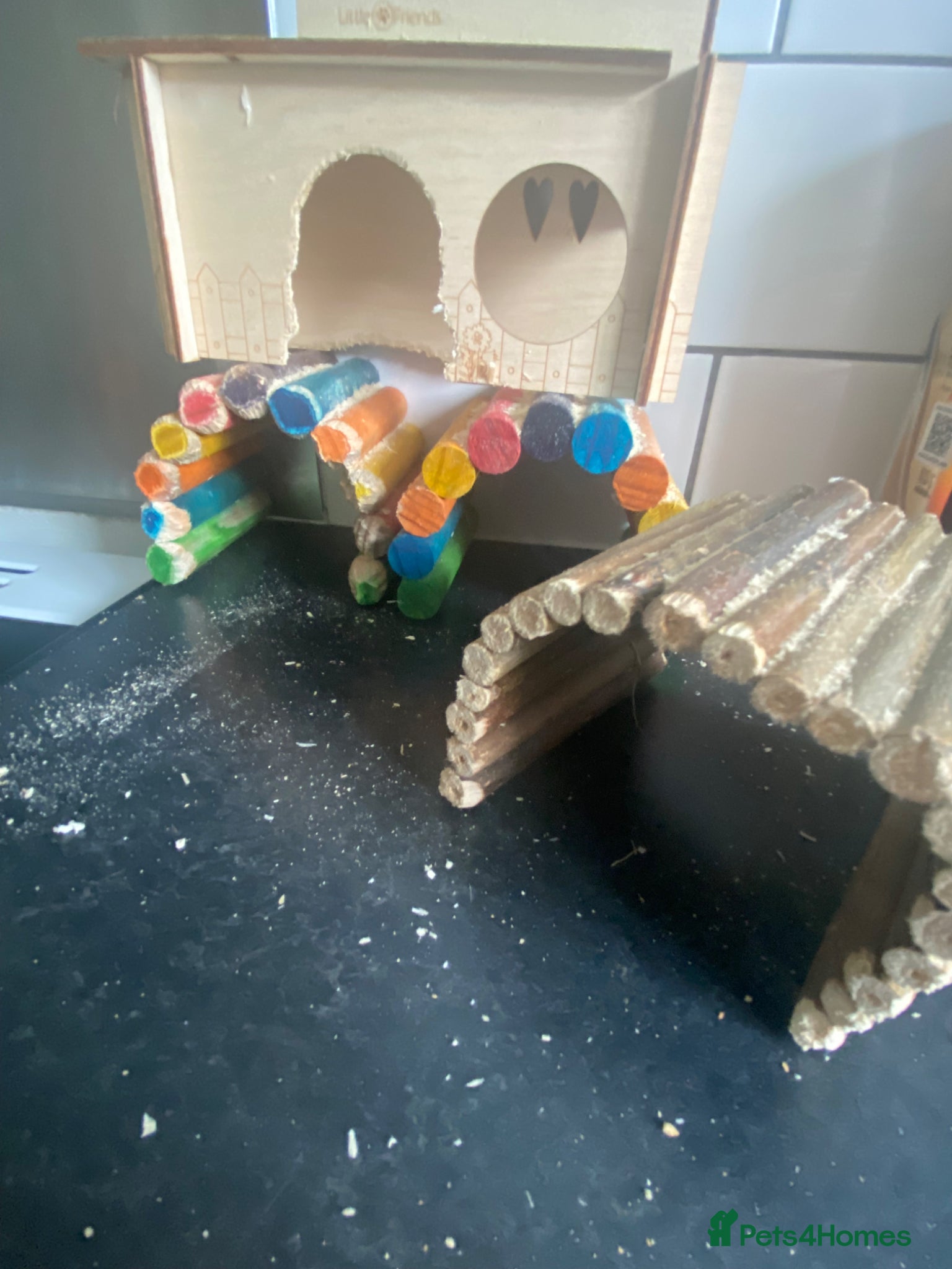 Gerbil rodents for sale: 2 female gerbils for sale  in Telford - Advert 2