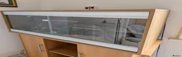 Corn Snake reptiles for sale: Cleo the Corn Snake is looking for a new home in Ashtead - Advert 5