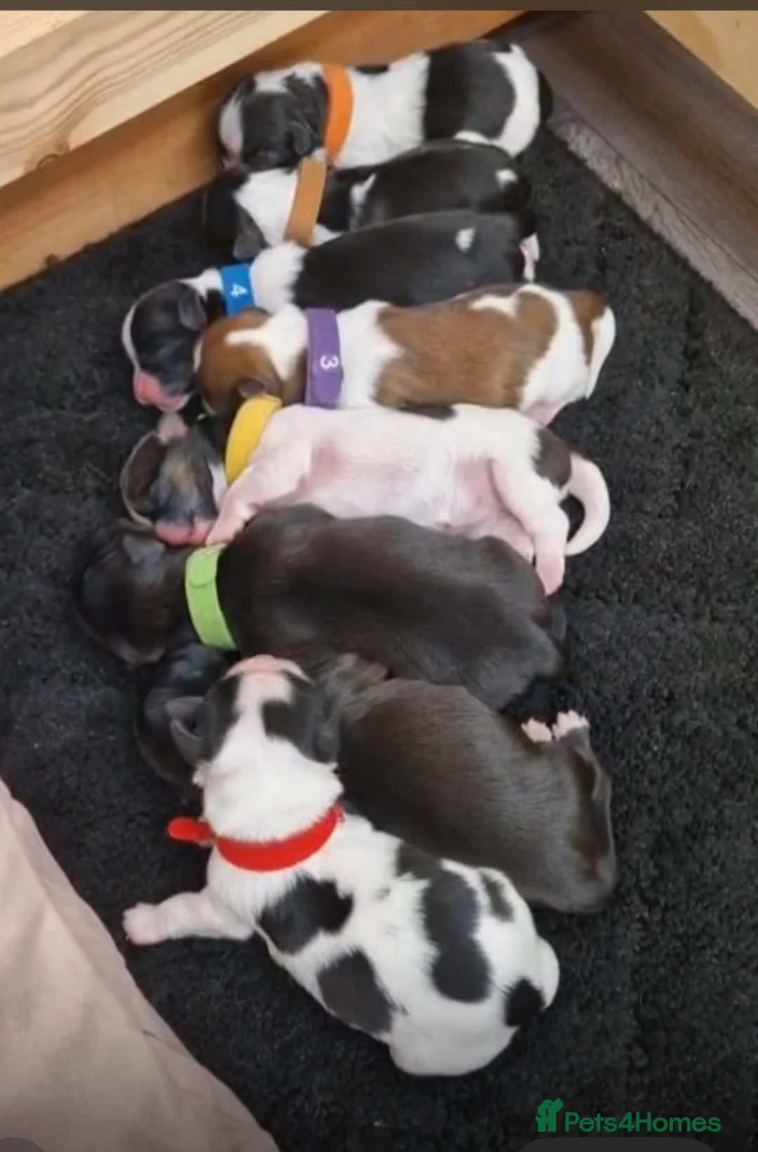 Gallery Image {{count}}