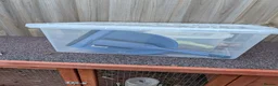 Guinea Pig rodents for sale: 2 male Guinea pigs  in Norwich - Advert 3