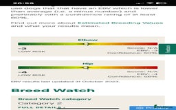 Labrador Retriever dogs for stud: 🌟Fully Health Tested Labrador at stud🌟 in Malmesbury - Image 6