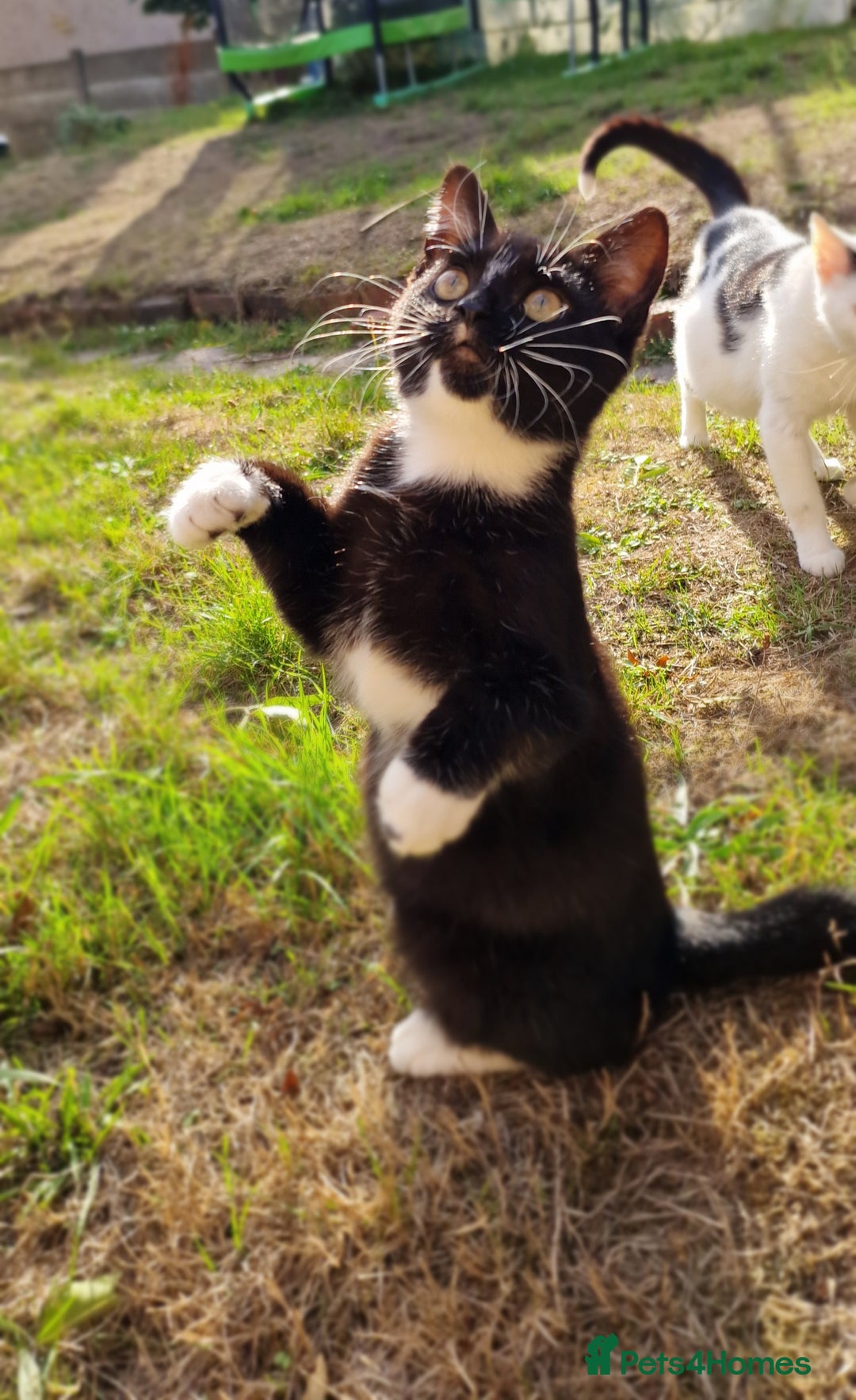 Gallery Image {{count}}