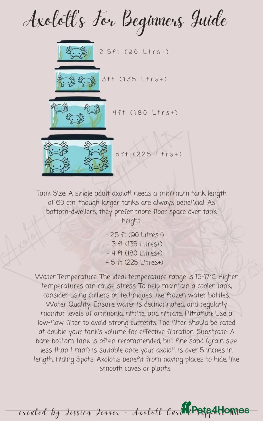 Axolotl reptiles for sale: Baby aXolotls - Advert 9