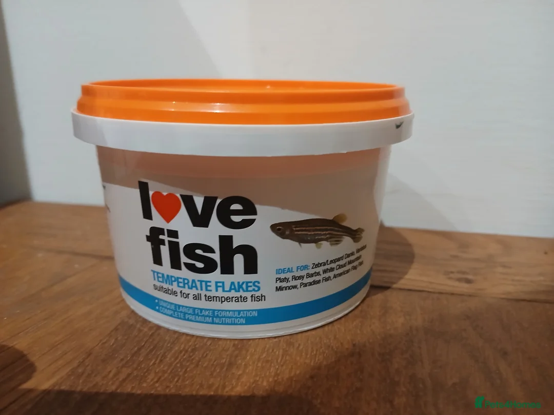 Platies fish for sale: Tank kit and fish in Bridgwater - Advert 11
