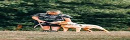Labrador Retriever dogs for sale: Buddy  - Advert 1