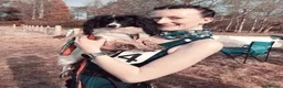 Papillon dogs for sale: HEALTH TESTED Papillon & Phalene  - Advert 27