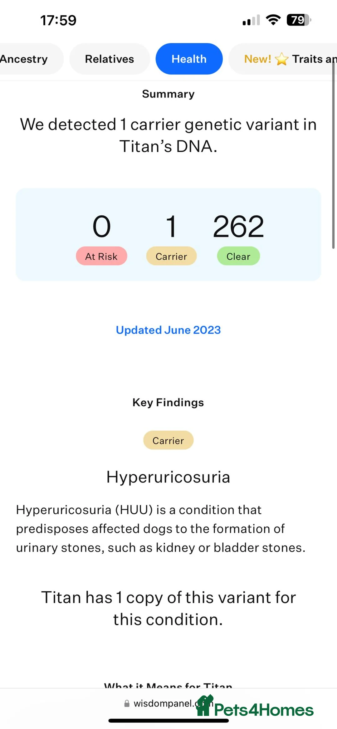 Olde English Bulldogge dogs for stud: Bullplanet's King Titan DNA/BVA Eye/BVA Hip/Elbow in Northallerton - Advert 16