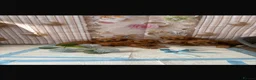 Cavapoo dogs for sale: Cavapoo puppy’s  in Slough - Advert 7