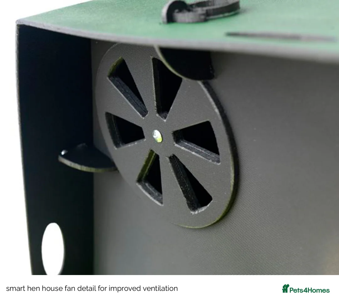 Chickens poultry for sale: Recycled Coop Run only  NO maintenance - Advert 8