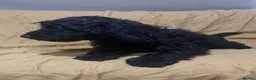 Sproodle dogs for sale: Sproodle pup's springer spaniel x poodle hypo coat - Advert 31