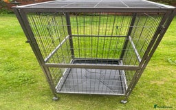 Rat rodents for sale: Rat cage for sale  - Image 2
