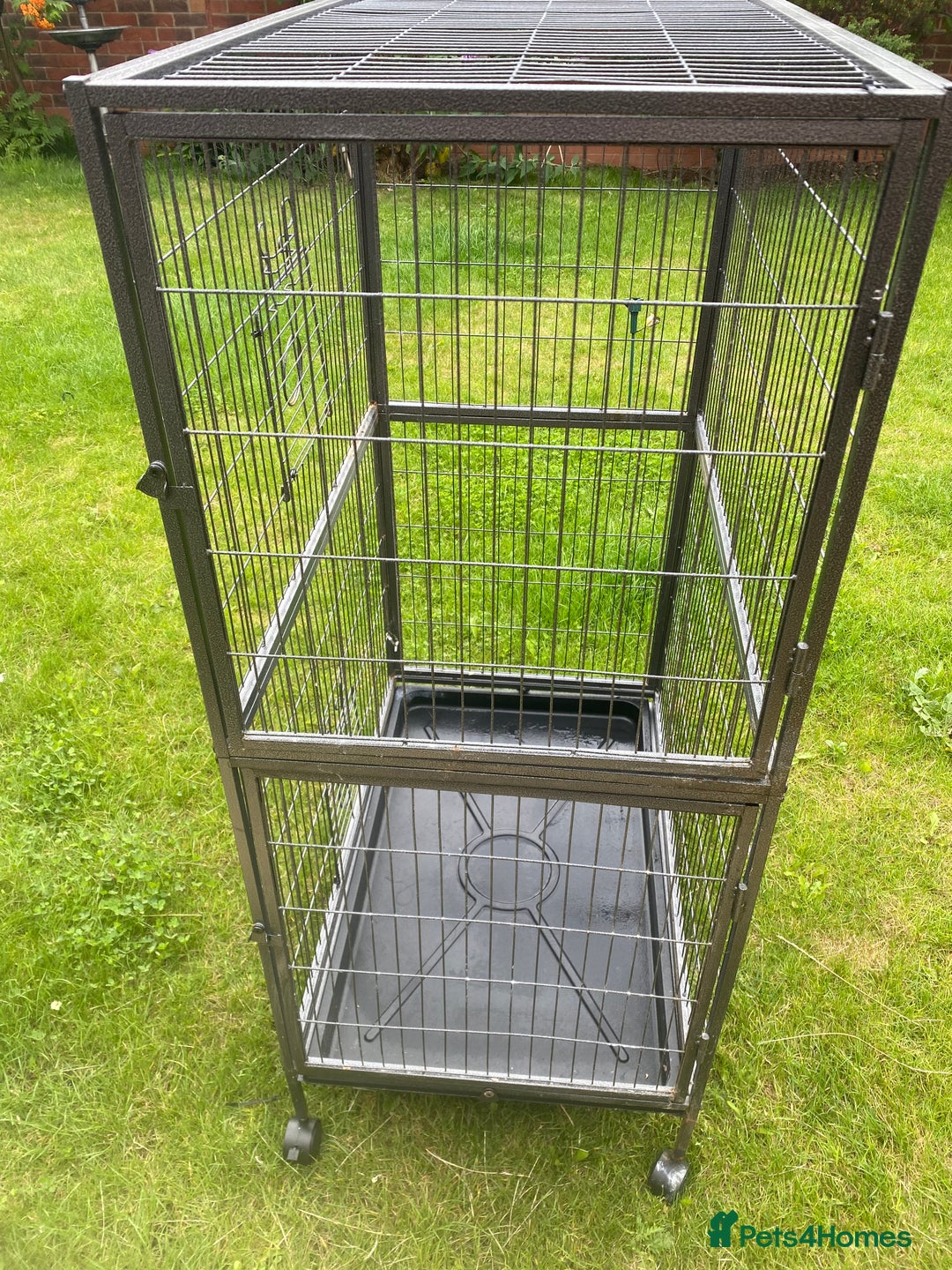 Rat rodents for sale: Rat cage for sale  - Image 2