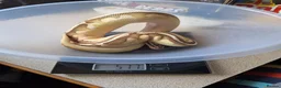 Python Snake reptiles for sale: Royal Python collection in Blackburn - Advert 8