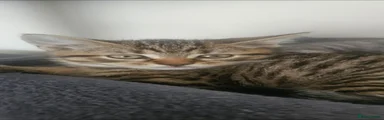 Mixed Breed 1