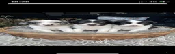 Sprollie dogs for sale: ⚡️Stunning Sprollie Puppies⚡️ - Advert 3