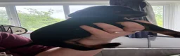 Rottweiler dogs for sale: 2 Rottweiler Puppies Left - 1 Boy 1 Girl  in Swadlincote - Advert 10
