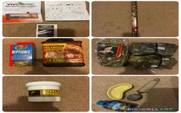 Bearded Dragon reptiles for sale: Complete bearded dragon / vivarium  - Image 16