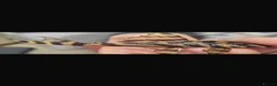 Plecos fish for sale: L333 Goldline Pleco Ceramic line. AA grade - Advert 2