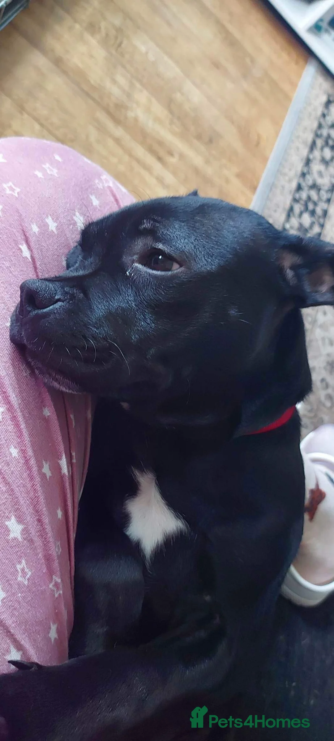 Gallery Image {{count}}