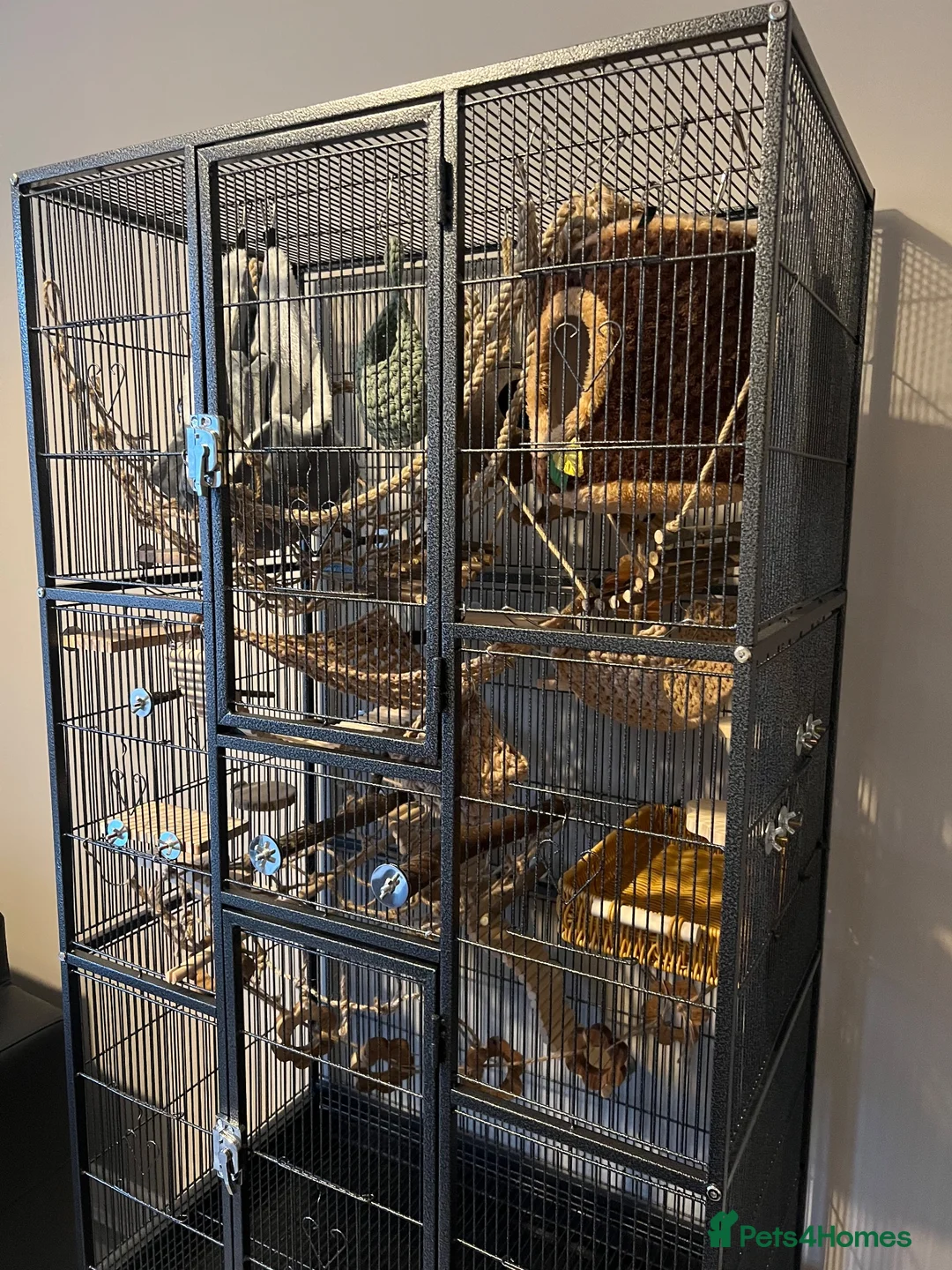 Rat rodents for sale: CAGE + ACCESSORIES Large Standing Rodent Cage - Advert 1