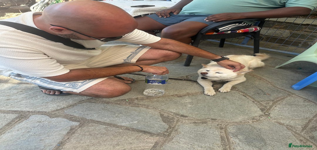 Gallery Image {{count}}