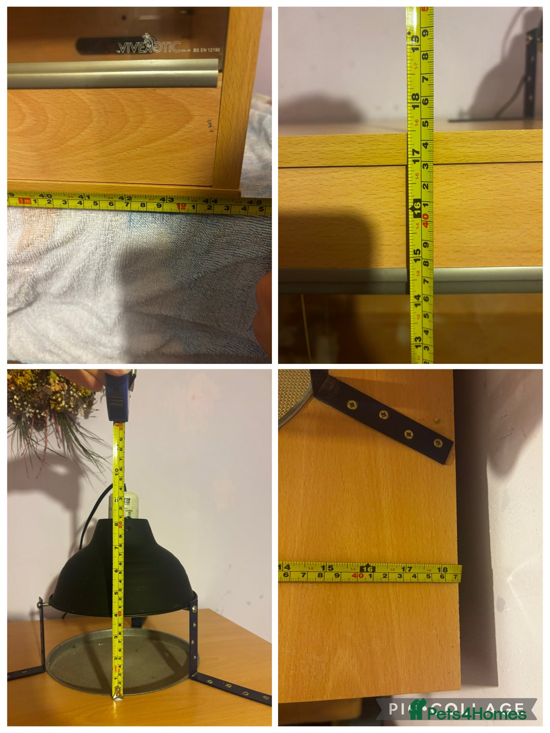 Bearded Dragon reptiles for sale: Complete bearded dragon / vivarium  - Image 13