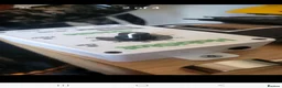 Bearded Dragon reptiles for sale: Rankin bearded dragon in Grimsby - Advert 4