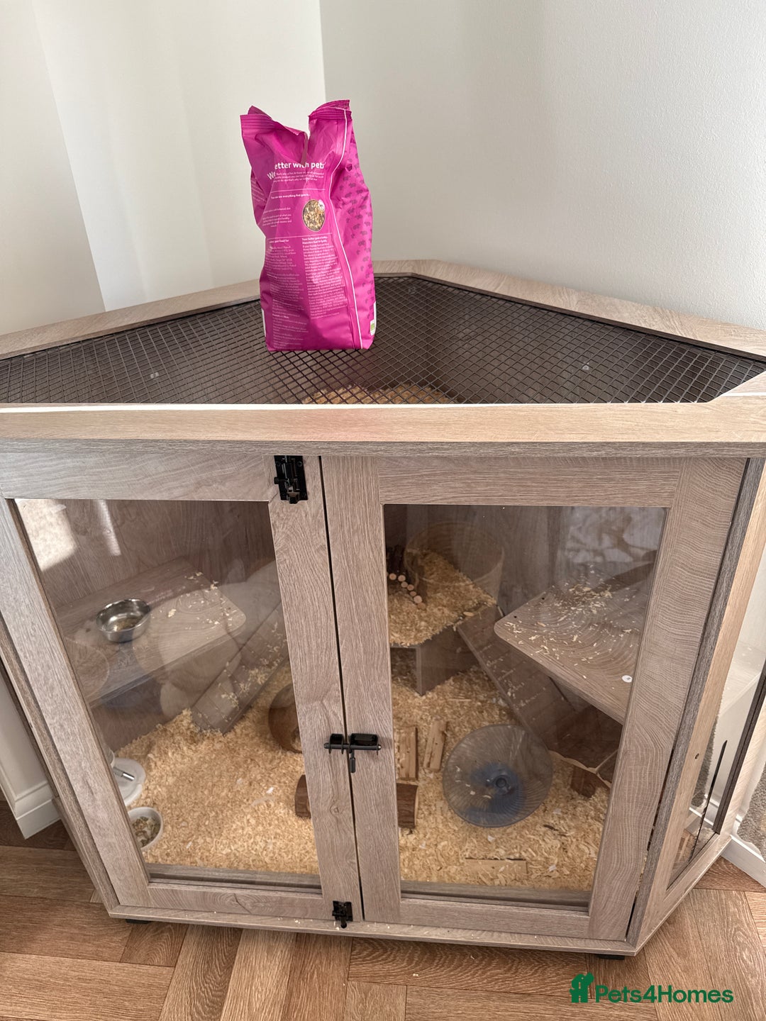 Hamster rodents for sale: Hamster and cage for sale - Advert 4
