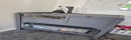 Hermann Tortoise reptiles for sale: Hermanns Tortoise & Set Up in Salisbury - Advert 5