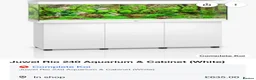 Terrapin reptiles for sale: 2x diamondback terrapins & juwel tank setup - Advert 7