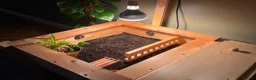 Tortoise reptiles for sale: Male? Horsfield Tortoise & Indoor set up Paid £350 - Advert 10