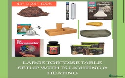 Tortoise reptiles for sale: Baby hermanns tortoises and setups ready now  - Image 7